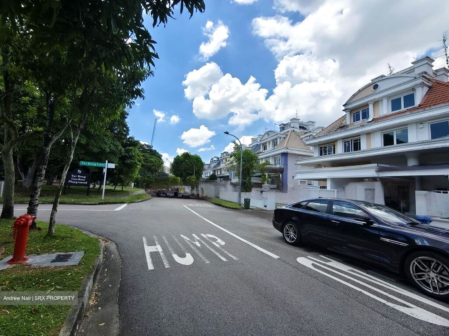 Tivoli Gardens (D19), Terrace #452055011